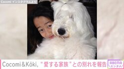 Cocomi＆Koki,  “愛する家族”が天国へ旅立ったことを報告「長生き偉かったぞー！」