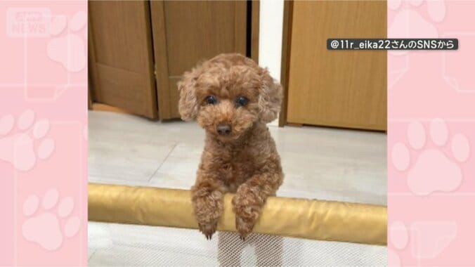 そろそろアノ時間では…