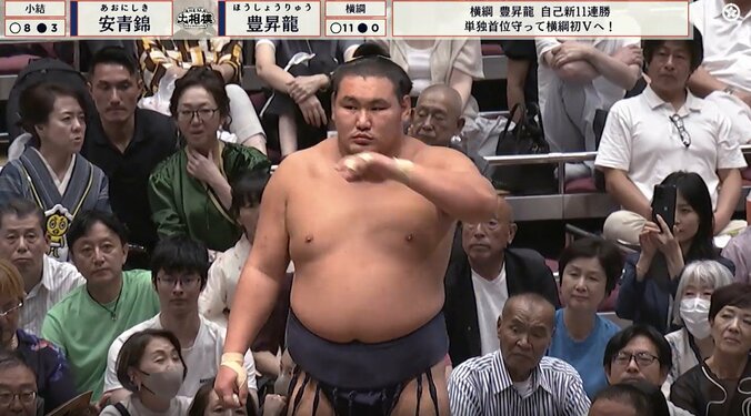 十二日目の豊昇龍