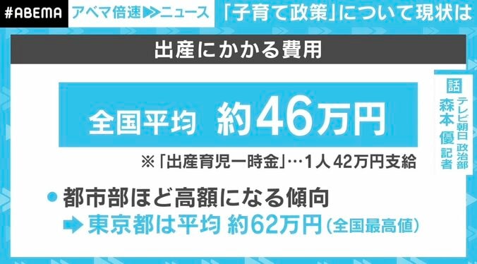 出産育児一時金42万円「足りているとは言えない」 参院選“子育て対策” ”教育費支援”…各党の公約は？ 2枚目