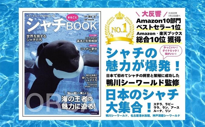 予約完売の大反響 “海の王者”シャチの魅力に迫る『シャチまるごとBOOK』が7月31日発売 3枚目