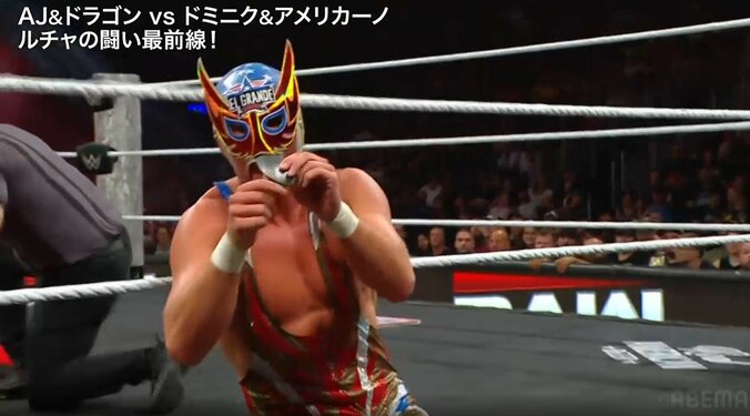 下腹部から取り出したプレートを額に仕込む