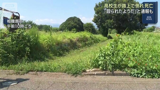 【最新情報】相模原17歳高校生死亡事件　被害者との関係は？一緒にいた中学生への傷害容疑で少年4人逮捕　車がバイクを1キロ超追跡…目撃者「尋常じゃない」　直前には友人らと“バイク走行” 3枚目