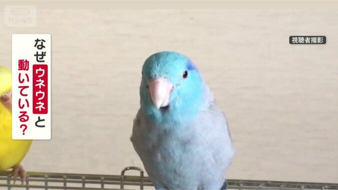 なぜウネウネ動くの？