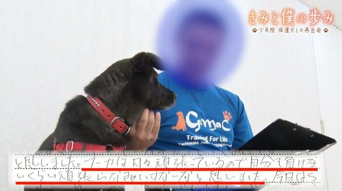 【写真・画像】「罪を犯した少年」と「捨て犬・野良犬」が共に歩む再出発、涙の別れ…少年院の保護犬訓練プログラムに密着　4枚目