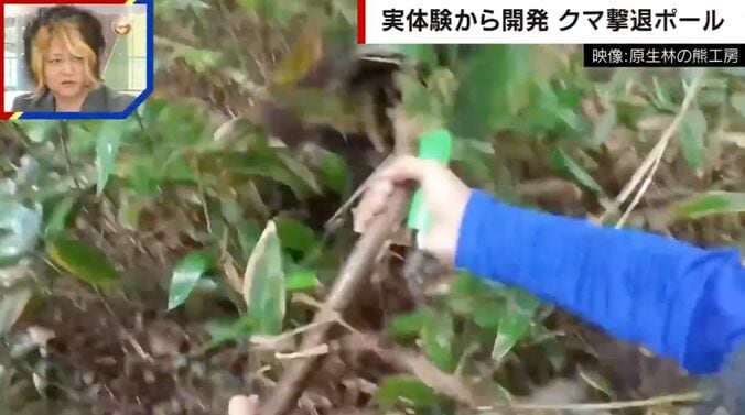 提供：原生林の熊工房