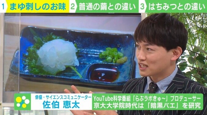 食用コオロギの上位互換？ 見た目がいい昆虫食“まゆ刺し”とは 2枚目