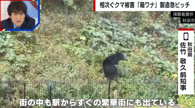 秋田に出没したクマ
