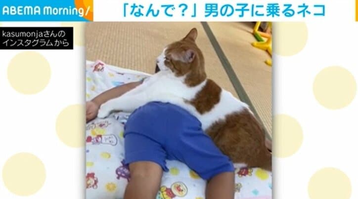 うつ伏せで眠る子どもの上に“容赦なく”乗る猫 行動の理由に「お腹冷やさないように」「過保護な対応！」と反響続々