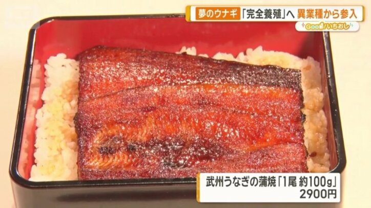 武州うなぎの蒲焼