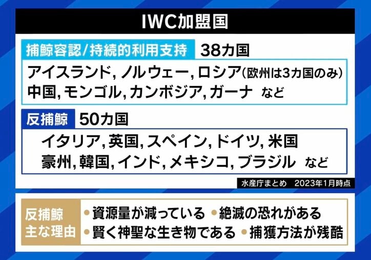 【写真・画像】　8枚目