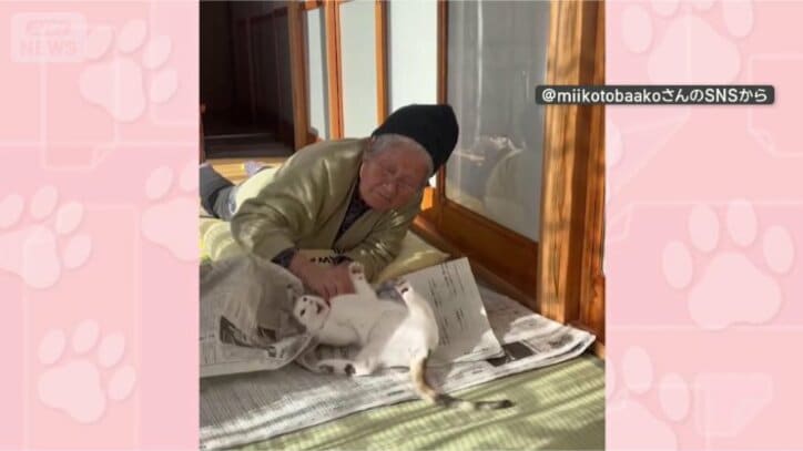 頭から行くニャ！