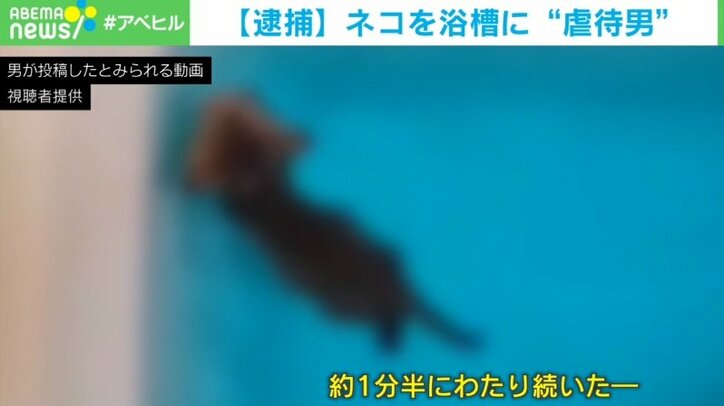 猫を浴槽に入れ撮影 虐待容疑で無職の男を逮捕 国内 Abema Times