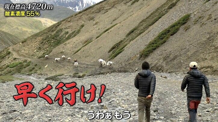 ヒマラヤに荒くれ者のチンピラ登場? 「早く行け!」怒号響く現場にナスDもドン引き