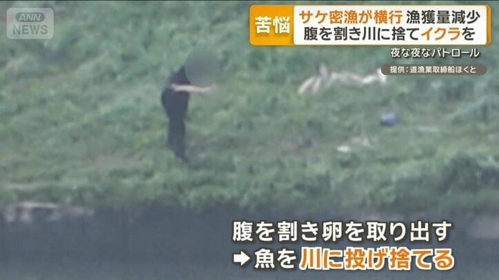 腹を割き川に捨てイクラを