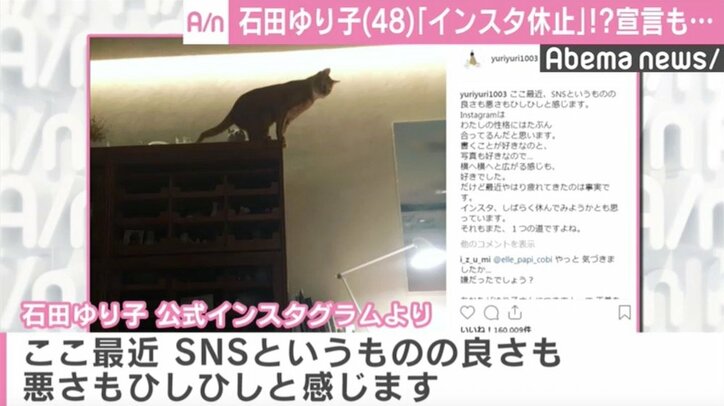 石田ゆり子、“SNS疲れ”で更新休止を検討 今後は「ゆるゆるマイペースに」