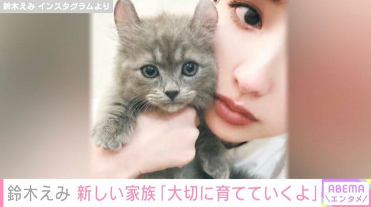鈴木えみ、“新しい家族”の子猫を紹介「ふたり顔似ている」の声
