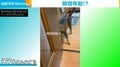 「にゃんですと!?」飼い主の移動先に“瞬間移動”してくる猫 行く手を阻むように待ち構える姿に「一生できる遊びw」と反響