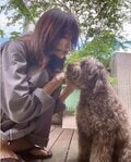 「ペアルックみたいな2人」工藤静香の“愛犬と秋色に染まった”ラブラブなショットに絶賛の声