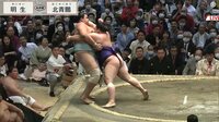 【映像】棒立ち状態のまま驚異的に粘る北青鵬