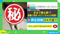 94万回超再生されたワンちゃん