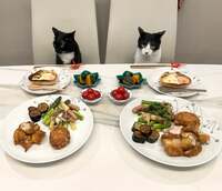 藤あや子『おうちごはん』