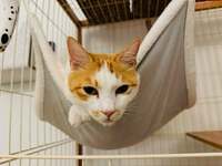 坂上忍『なんでだろう』