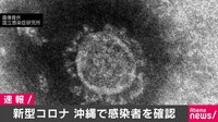新型コロナ 沖縄で初めて感染確認 | 動画視聴は【Abemaビデオ(AbemaTV)】