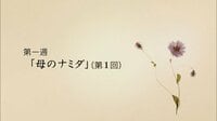 連続テレビ小説 おひさま - 第1~30回 - 第1回 母のナミダ(1) | 動画視聴はAbemaビデオ(AbemaTV)
