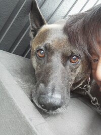 坂上忍『サンタと二人三脚で...』