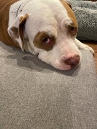 GOTO CHIZURU『夜はまったりと✨』