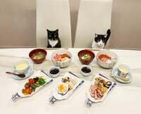 藤あや子『昨日の晩ごはん』