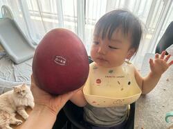  あいのり・桃、ふるさと納税の返礼品に驚き「奮発して高いやつにした甲斐あった」 