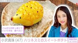小沢真珠、娘のために作ったハリネズミモチーフのスイーツに絶賛の声「お店出せますよ」「とても可愛くて美味しそう」