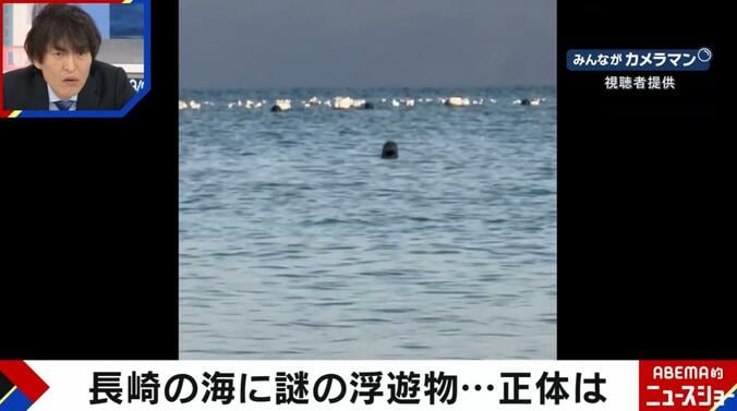 長崎の海に謎の浮遊物（視聴者提供）