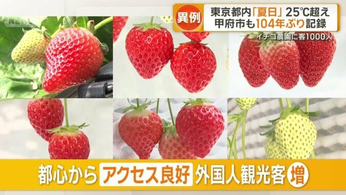 都心からアクセス良好で外国人観光客も増