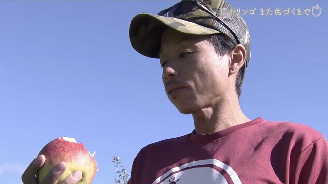 被害総額1億円超、家族とも離れ…それでも地域と仲間のために立ち上がったリンゴ農家 14枚目