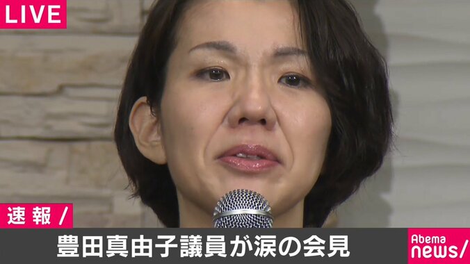 豊田真由子議員が会見「生きているのが恥ずかしい、死んだ方がましではないかと思ったこともありました」 1枚目