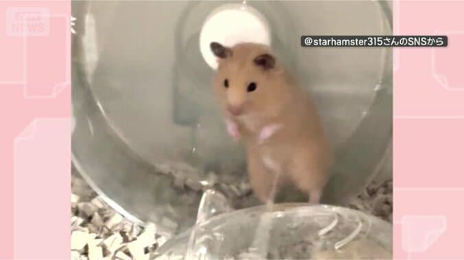 乗りこなすぜ