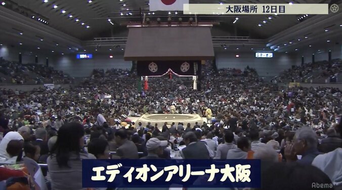 力士の過酷な15日間　精神・肉体の限界に挑む力士たちが土俵で生み出す終盤のドラマ 1枚目