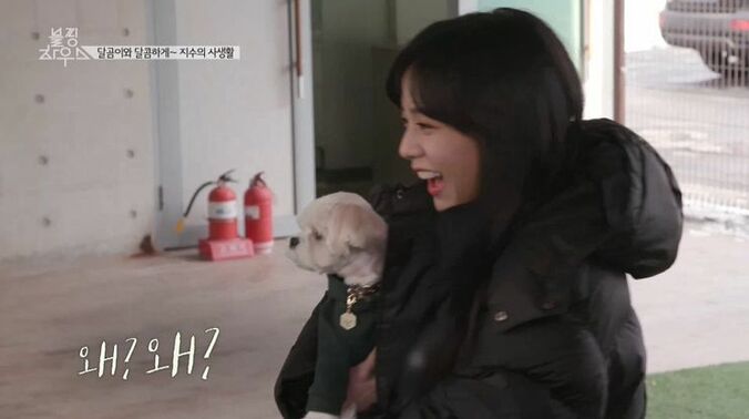 BLACKPINK、コンビニ夜食を爆買い！日本ツアーの裏でカップ麺やお菓子などを堪能 11枚目