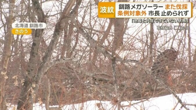 新たな予定地で始まった木の伐採