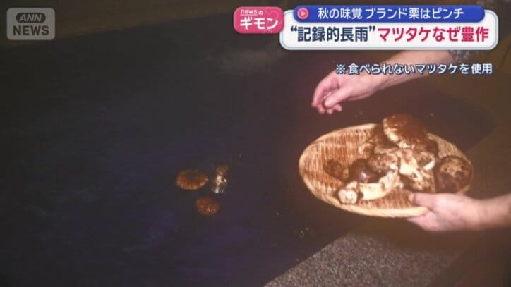 マツタケ風呂