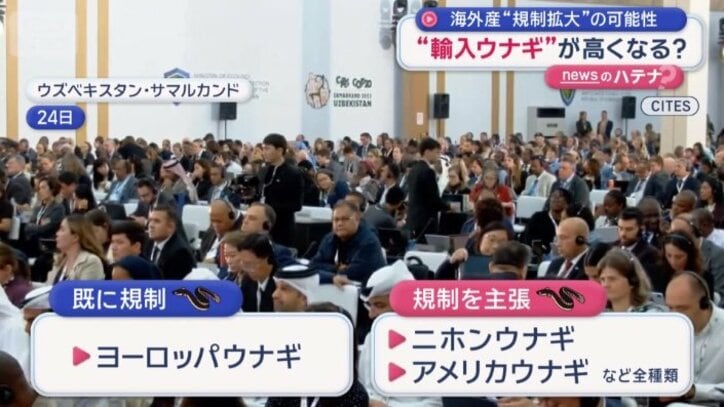 EUなどは全種類を規制対象にすべきと主張