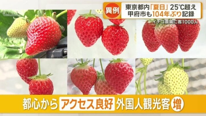 都心からアクセス良好で外国人観光客も増