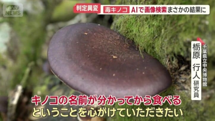 「キノコの名前が分かってから食べる」