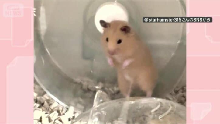 乗りこなすぜ
