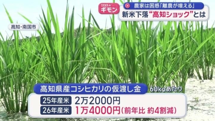 高知県産コシヒカリの仮渡し金