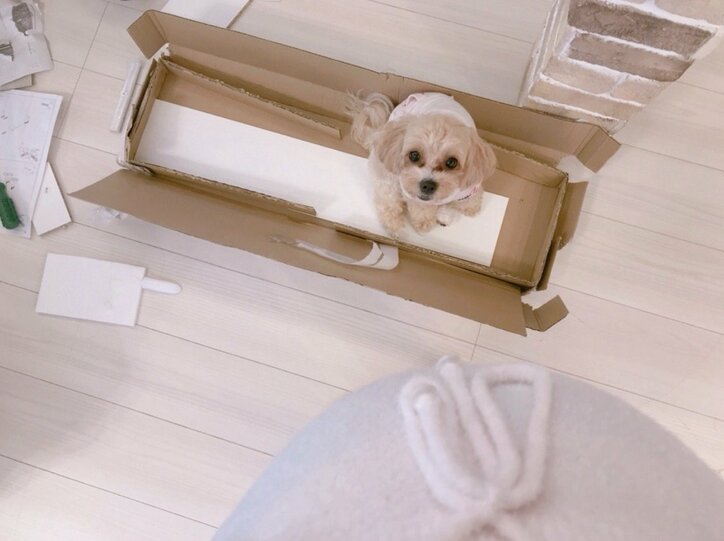 第4子妊娠中の辻希美、大きくふくらんだお腹を公開