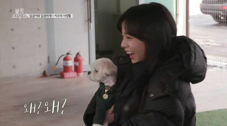 BLACKPINK、コンビニ夜食を爆買い！日本ツアーの裏でカップ麺やお菓子などを堪能